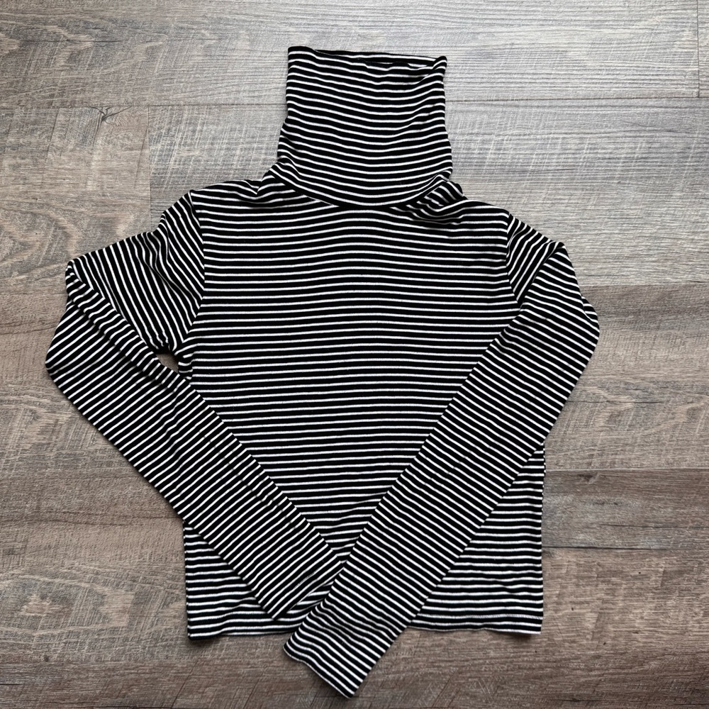Zara Turtleneck Monochrome Striped Knit Top